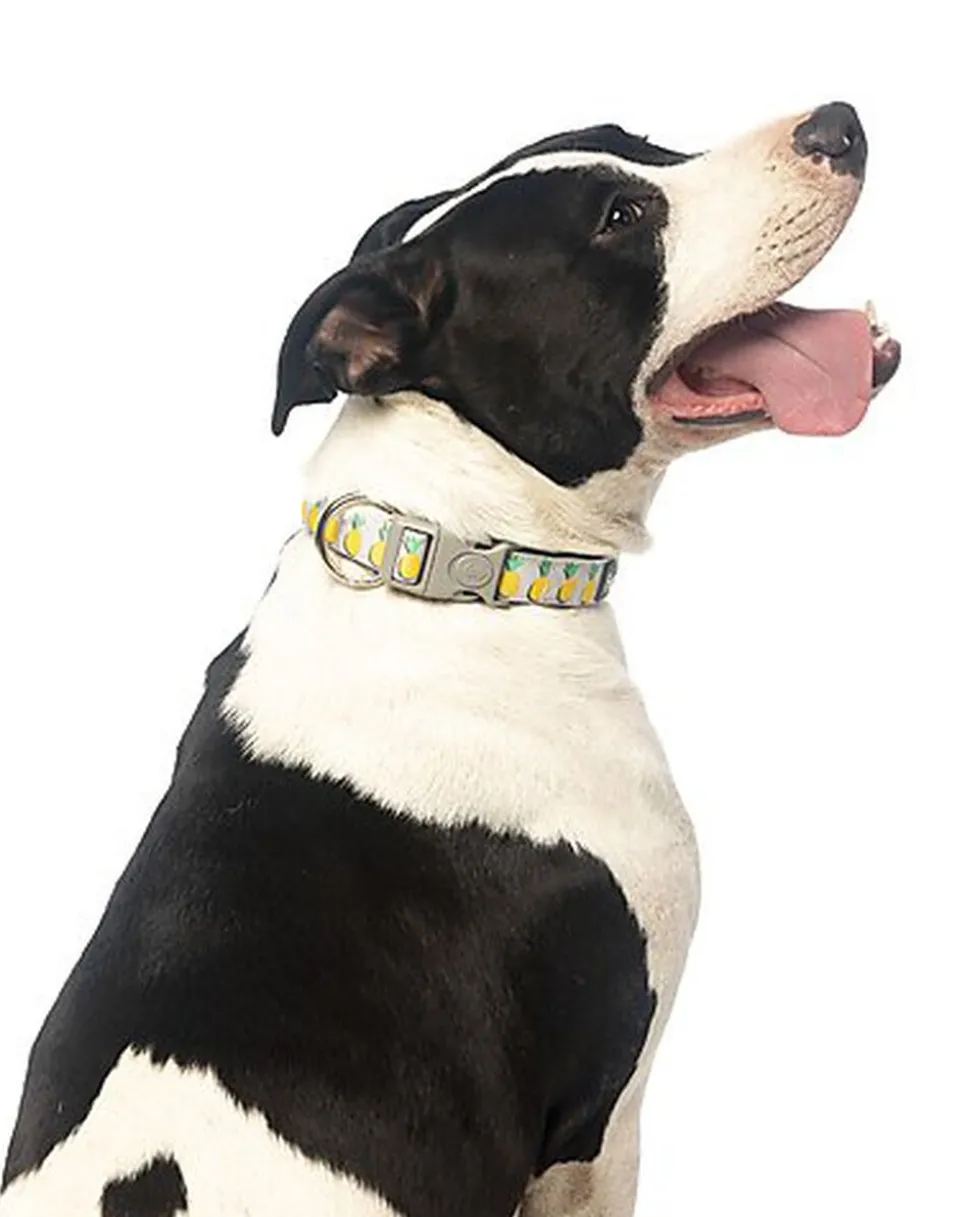 FuzzYard - Collier Piña Colada pour Chiens