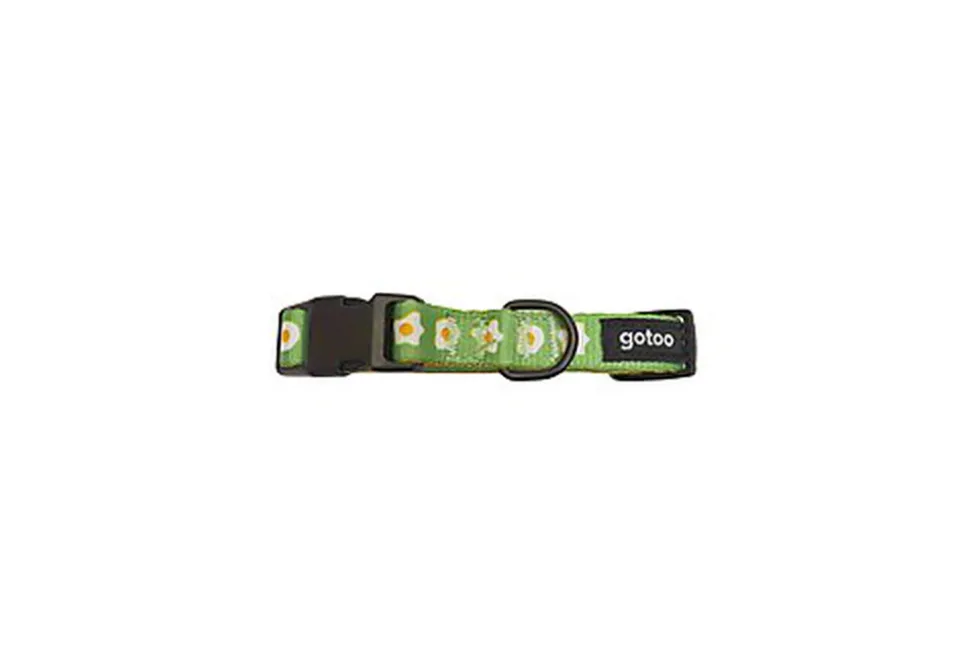 Gotoo - Collier à Motif Oeuf Vert pour Chien
