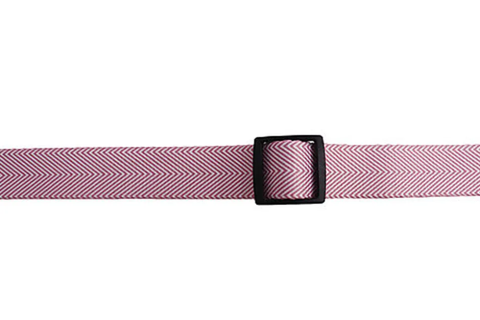 Gotoo - Collier Chevron Rose pour Chien