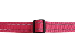 Gotoo - Collier en Nylon Premium Rose pour Chien