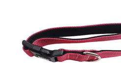 Gotoo - Collier en Nylon Premium Rose pour Chien