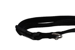 Gotoo - Collier Essentials en Nylon Premium Noir pour Chien