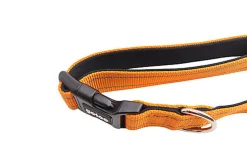 Gotoo - Collier Essentials en Nylon Premium Orange pour Chien