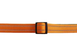 Gotoo - Collier Essentials en Nylon Premium Orange pour Chien
