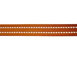 Gotoo - Collier Essentials en Nylon Premium Orange pour Chien