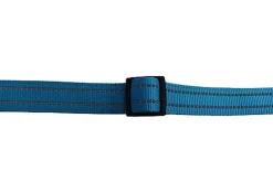 Gotoo - Collier Essentials en Nylon Premium Bleu pour Chien