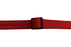 Gotoo - Collier Essentials en Nylon Premium Rouge pour Chien