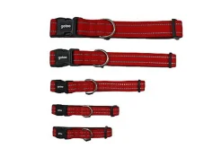 Gotoo - Collier Essentials en Nylon Premium Rouge pour Chien