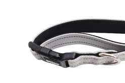 Gotoo - Collier Essentials en Nylon Premium Gris pour Chien