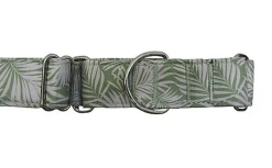 Gotoo - Collier Lévrier Botanique Khaki pour Chien - 36/50cm