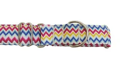 Gotoo - Collier Lévrier Zig-Zag pour Chien - 36/50cm