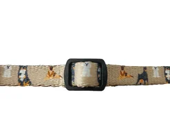 Gotoo - Collier Marron pour Chien - XXS