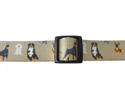 Gotoo - Collier Marron pour Chien