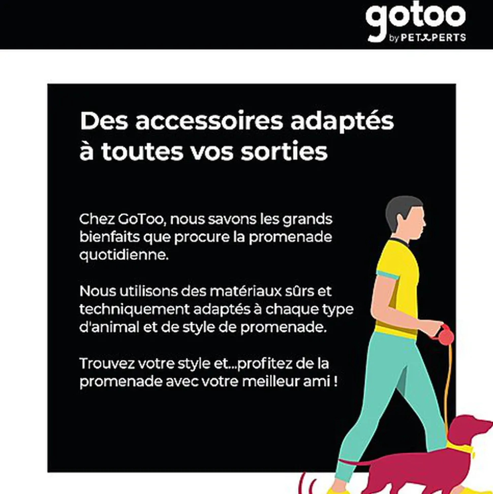 Gotoo - Collier Montagne pour Chien