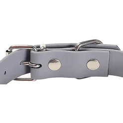 Gotoo - Collier Premium Biotane Gris pour Chien