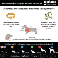 Gotoo - Collier Premium Biotane Gris pour Chien