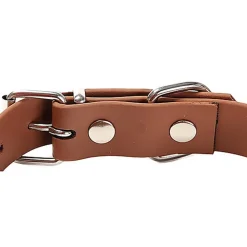 Gotoo - Collier Premium Biotane Marron pour Chien