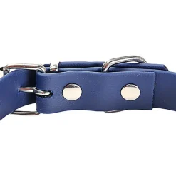 Gotoo - Collier Premium Biotane Bleu pour Chien
