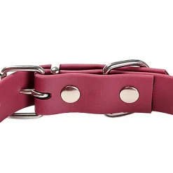 Gotoo - Collier Premium Biotane Bordeaux pour Chien