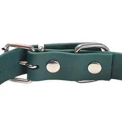 Gotoo - Collier Premium Biotane Vert pour Chien