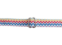 Gotoo - Collier ZigZag pour chien