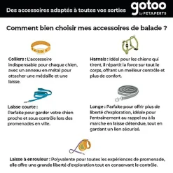 Gotoo - Collier ZigZag pour chien