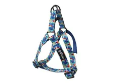 Gotoo - Harnais à Motif Bleu pour Chien