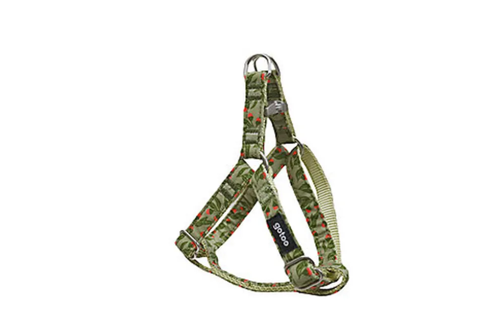 Gotoo - Harnais à motif Botanic Vert pour chien