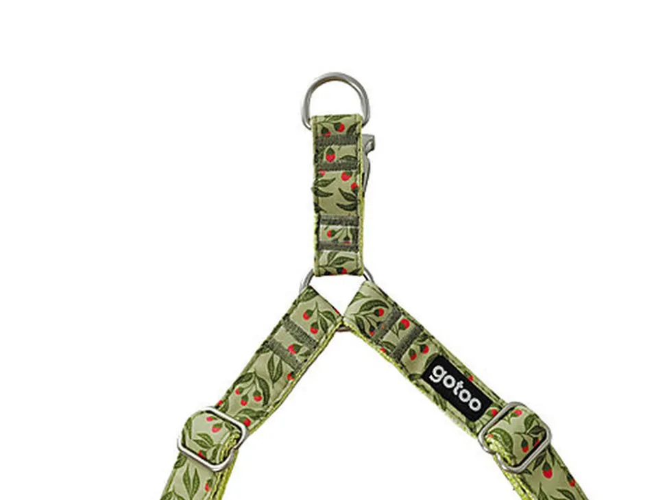 Gotoo - Harnais à motif Botanic Vert pour chien