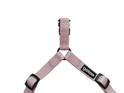 Gotoo - Harnais Chevron Rose pour Chien