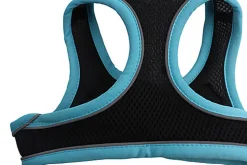 Gotoo - Harnais en Mesh Turquoise pour Chien