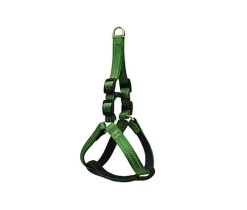 Gotoo - Harnais en Nylon Premium Vert pour Chien
