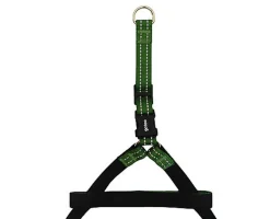Gotoo - Harnais en Nylon Premium Vert pour Chien