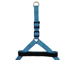 Gotoo - Harnais Essentials en Nylon Premium Bleu pour Chien