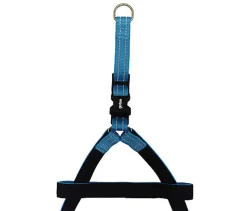 Gotoo - Harnais Essentials en Nylon Premium Bleu pour Chien