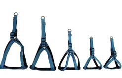 Gotoo - Harnais Essentials en Nylon Premium Bleu pour Chien