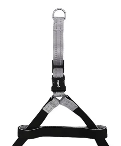 Gotoo - Harnais Essentials en Nylon Premium Gris pour Chien