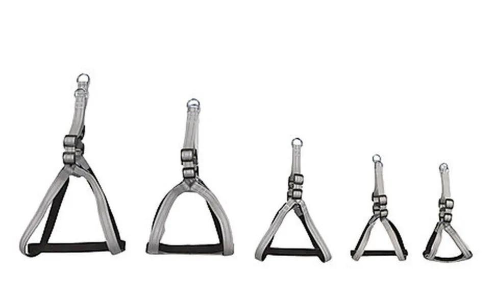 Gotoo - Harnais Essentials en Nylon Premium Gris pour Chien