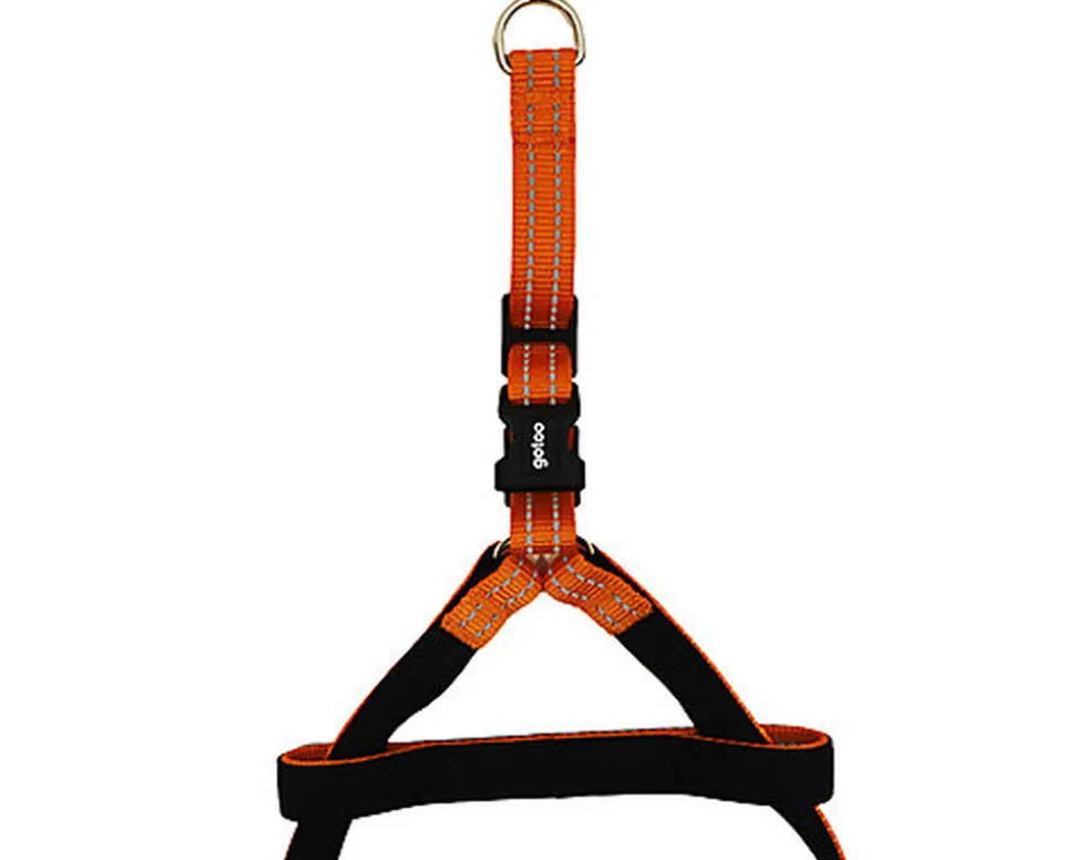 Gotoo - Harnais Essentials en Nylon Premium Orange pour Chien