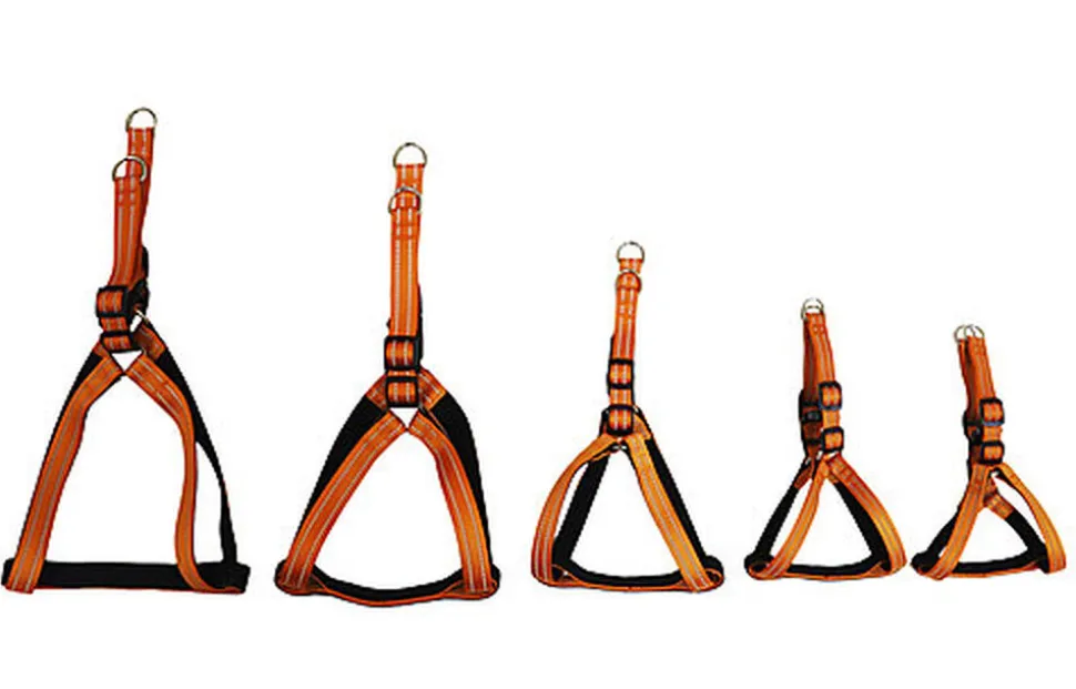 Gotoo - Harnais Essentials en Nylon Premium Orange pour Chien