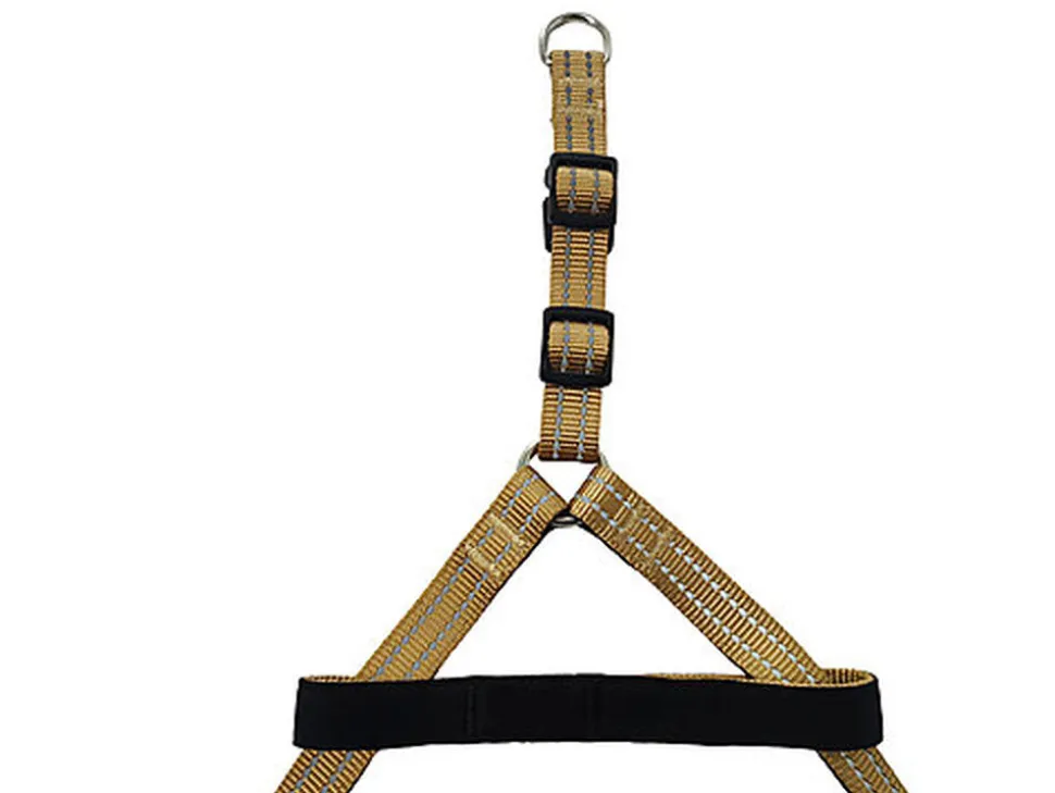 Gotoo - Harnais Essentials en Nylon Premium Beige pour Chien