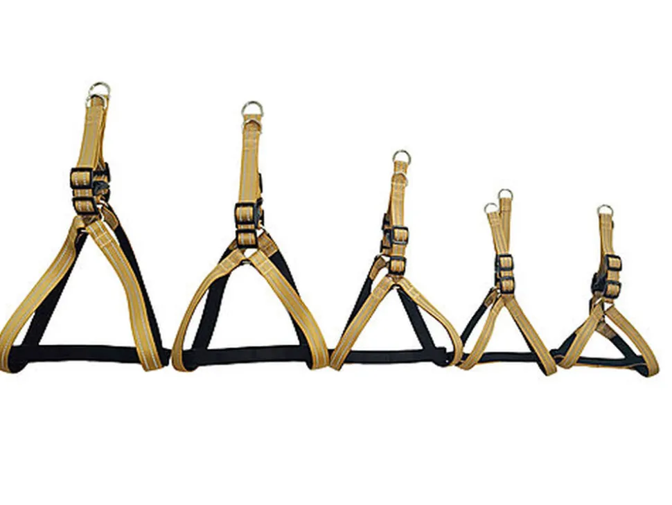 Gotoo - Harnais Essentials en Nylon Premium Beige pour Chien