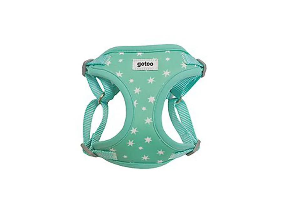 Gotoo - Harnais Etoiles Bleu pour Chiot