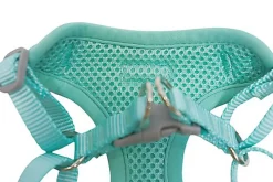 Gotoo - Harnais Etoiles Bleu pour Chiot