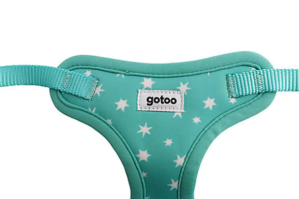 Gotoo - Harnais Etoiles Bleu pour Chiot