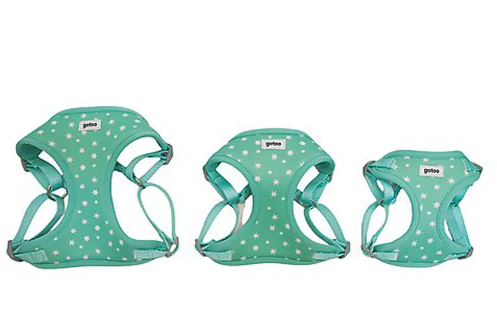 Gotoo - Harnais Etoiles Bleu pour Chiot