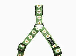 Gotoo - Harnais Oeuf Vert pour Chien - L