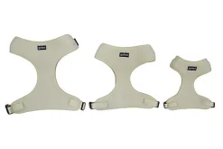 Gotoo - Harnais Ourson Beige pour Chien