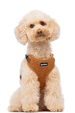 Gotoo - Harnais Ourson Brun pour Chien