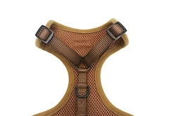 Gotoo - Harnais Ourson Brun pour Chien